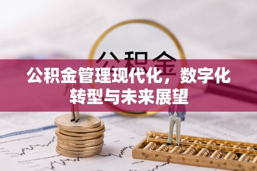 赤城公积金管理现代化，数字化转型与未来展望