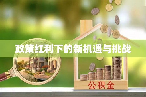 赤城政策红利下的新机遇与挑战