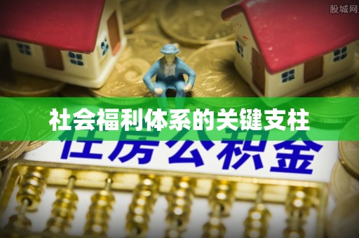 赤城社会福利体系的关键支柱