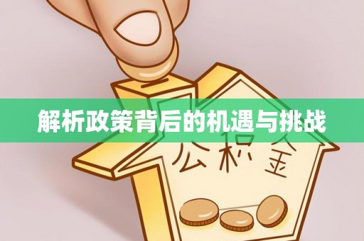 赤城解析政策背后的机遇与挑战