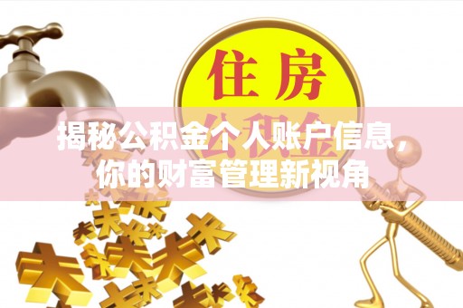 赤城揭秘公积金个人账户信息，你的财富管理新视角