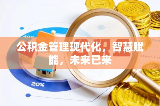 赤城公积金管理现代化，智慧赋能，未来已来
