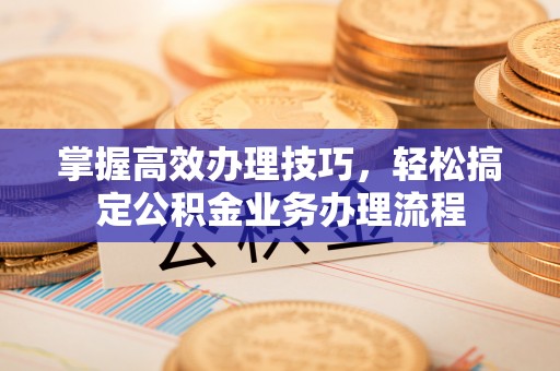 赤城掌握高效办理技巧，轻松搞定公积金业务办理流程